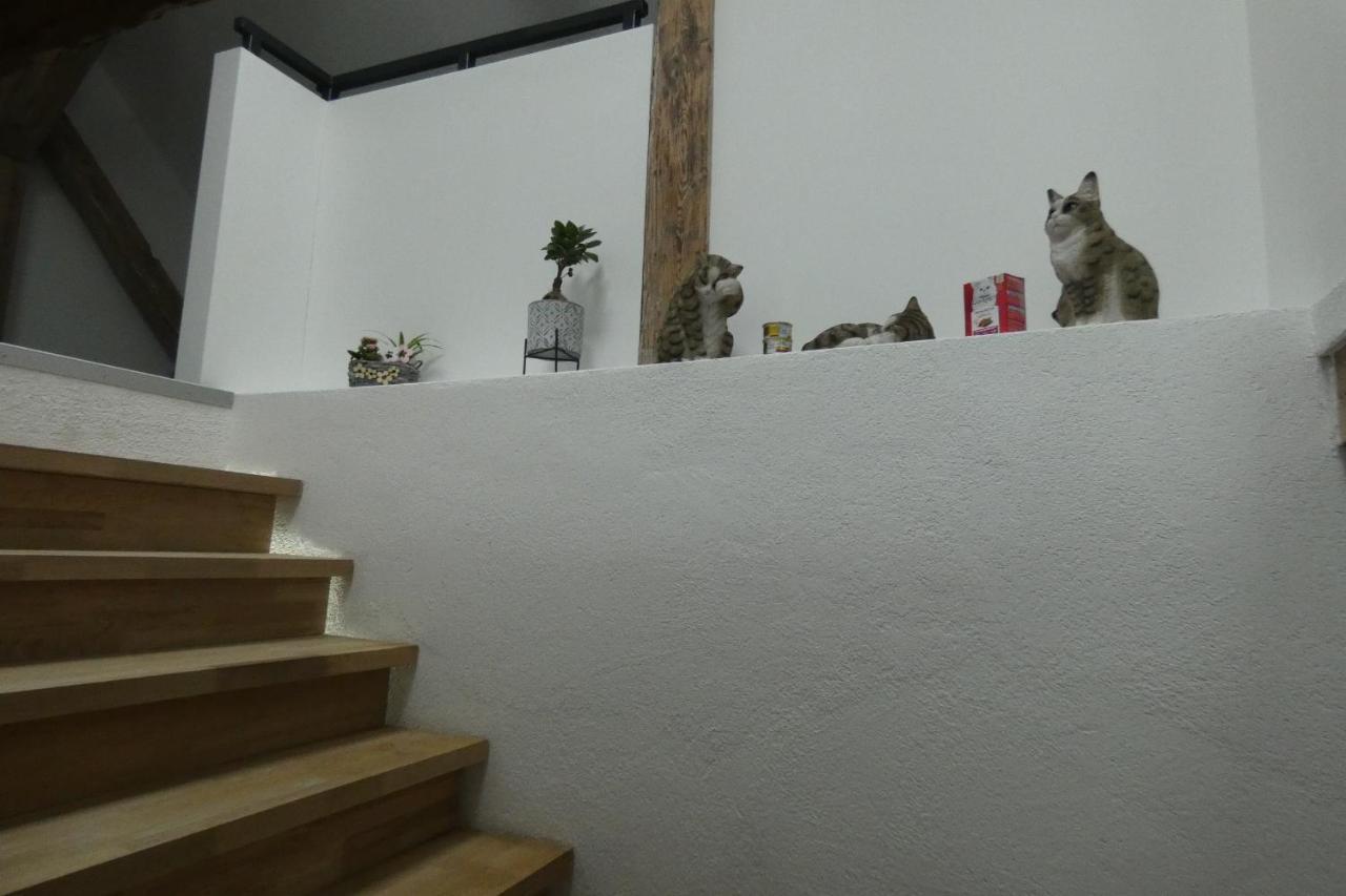 Holiday Schwandorf in Bayern Dış mekan fotoğraf